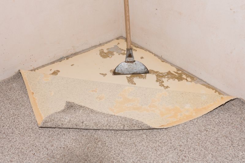 Subfloor Removal Process